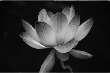 9D57A4AA-5AED-40CC-AE67-861187F4367C